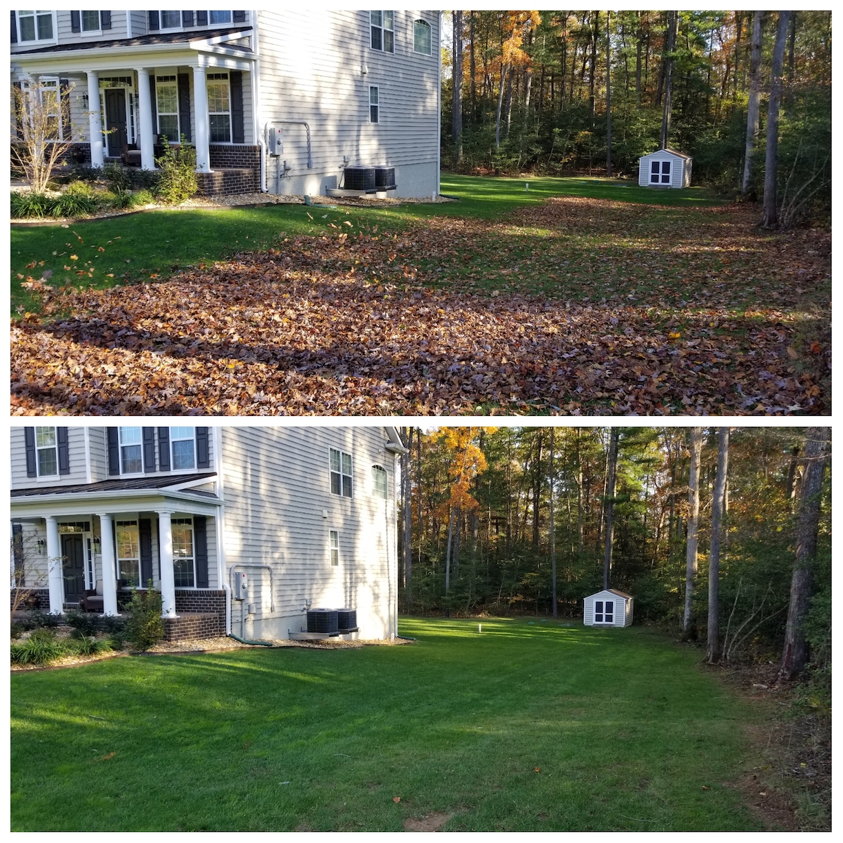 Leaf Removal, Leaf Cleanup, Leaf Pickup, Leaf Vacuum