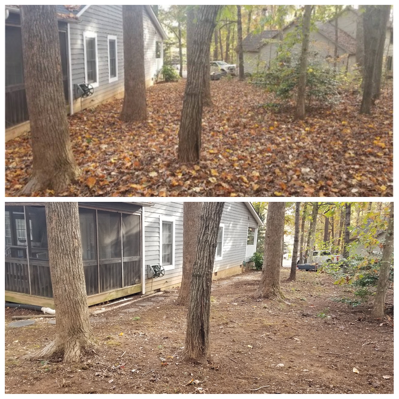 Leaf Cleanup, Fall Cleanup, Leaf Pickup, Leaf Vacuum, Haul Leaves